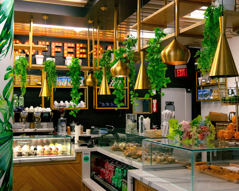 Cafetería muy bien iluminada con una importante presencia de plantas en su decoración