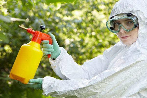 Recetas para hacer fertilizantes caseros. Cómo hacer insecticidas naturales para evitar las plagas del jardín. Recetas para hacer fertilizantes caseros. Cómo hacer insecticidas naturales para evitar las plagas del jardín.