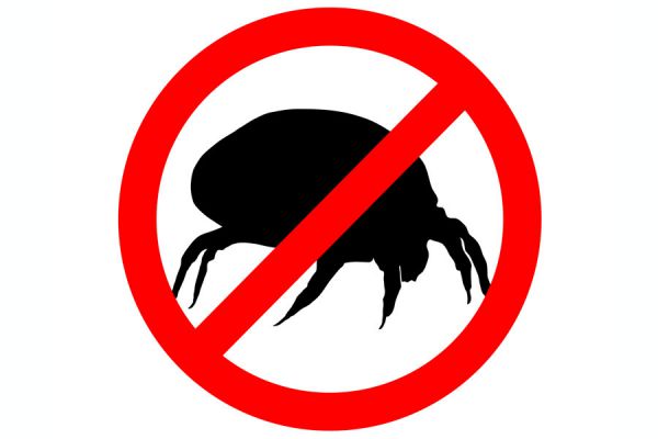 Consejos para evitar los ácaros en el hogar. Qué son los ácaros y cómo eliminarlos. Limpia tu casa de los ácaros Consejos para evitar los ácaros en el hogar. Qué son los ácaros y cómo eliminarlos. Limpia tu casa de los ácaros
