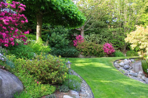 Especies de plantas para jardines muy húmedos. Como elegir las plantas para un jardín de zonas muy húmedas. Plantas para un jardín con mucha humedad Especies de plantas para jardines muy húmedos. Como elegir las plantas para un jardín de zonas muy húmedas. Plantas para un jardín con mucha humedad