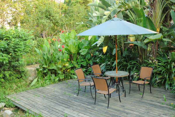 Cómo eliminar el moho en el jardín Cómo eliminar el moho en el jardín