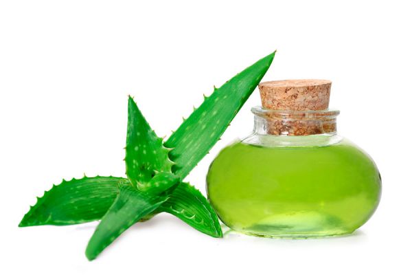 Cómo aprovechar las propiedades del aloe vera en fines medicinales y estéticos Cómo aprovechar las propiedades del aloe vera en fines medicinales y estéticos