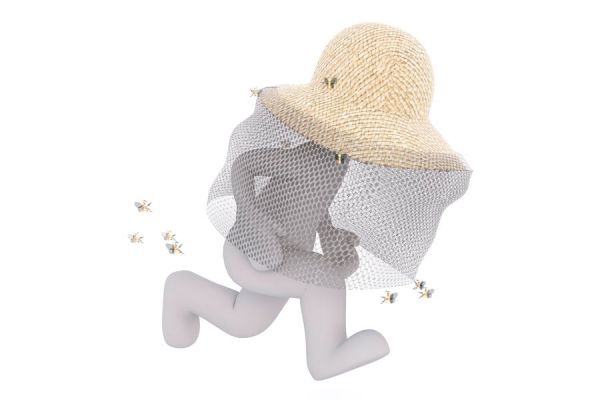 Curar picaduras de avispas y abejas. Métodos para calmar las picaduras de insectos.
