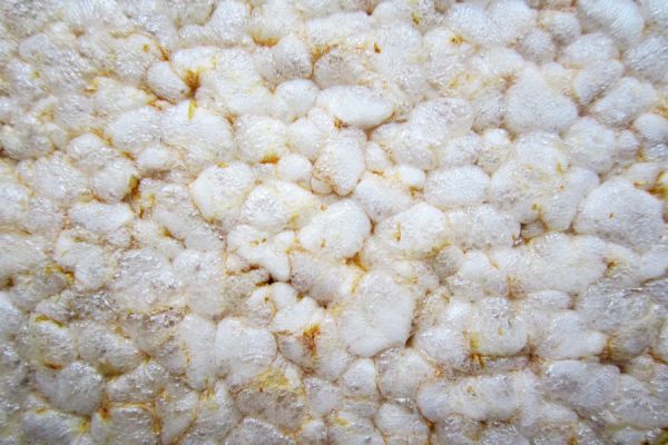 Cómo preparar galletas de arroz en casa. Galletas de arroz caseras. ingredientes para hacer galletas de arroz. Recetas de galletas de arroz Cómo preparar galletas de arroz en casa. Galletas de arroz caseras. ingredientes para hacer galletas de arroz. Recetas de galletas de arroz