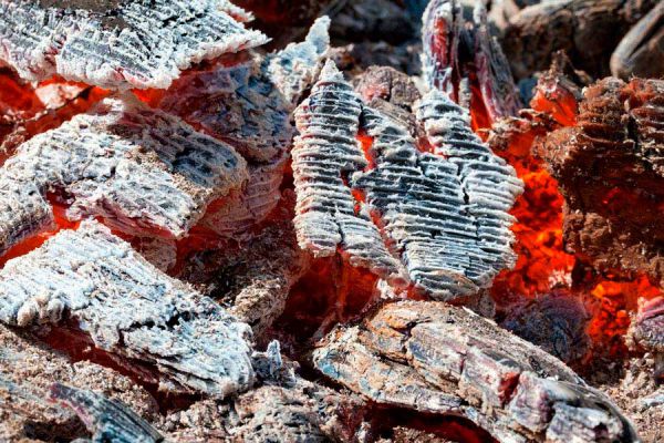 Cómo prender fuego con carbón - Video Cómo prender fuego con carbón - Video