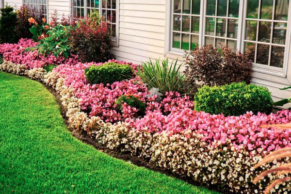Tips para evitar que las malas hierbas invadan los canteros. Cómo prevenir que le jardín se llene de malas hierbas. Tips para evitar que las malas hierbas invadan los canteros. Cómo prevenir que le jardín se llene de malas hierbas.