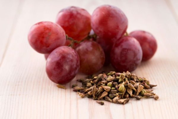 Beneficios y propiedades de las semillas de uva. Beneficios de las pepitas de uva. Cómo consumir semillas de uva Beneficios y propiedades de las semillas de uva. Beneficios de las pepitas de uva. Cómo consumir semillas de uva