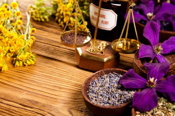 Usos de las plantas medicinales en tratamientos de belleza y salud. Usos y propiedades de las plantas medicinales más populares. 
