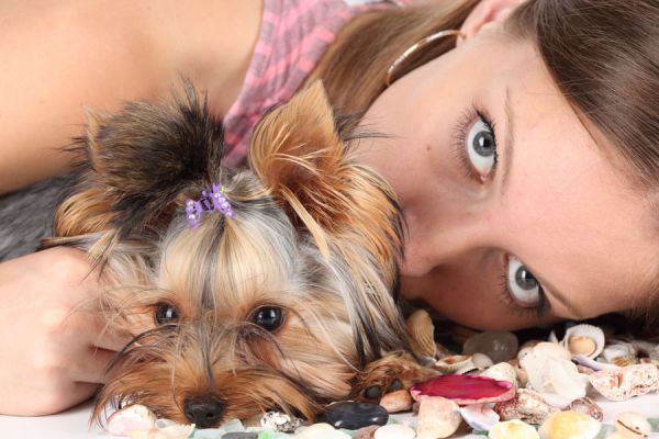 Tips para tener perro en casa siendo alérgico. Como aliviar la alergia a los perros en casa. Como limpiar la casa si tienes perro y eres alérgico