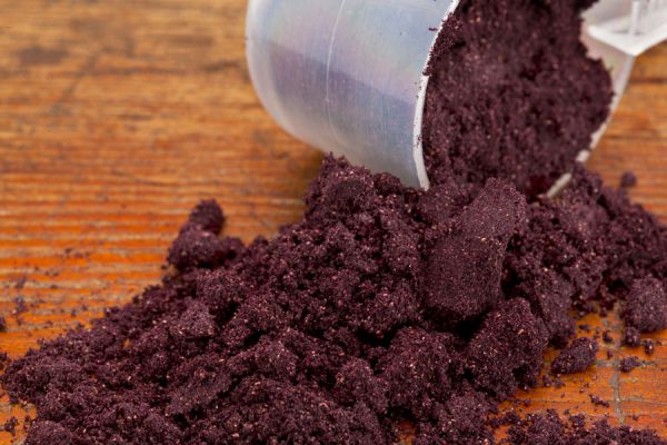 Cómo consumir maqui. Beneficios y propiedades del maqui para la belleza y salud. Aportes beneficiosos del maqui Cómo consumir maqui. Beneficios y propiedades del maqui para la belleza y salud. Aportes beneficiosos del maqui