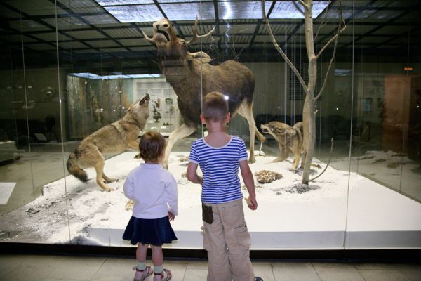 Cómo organizar una visita al museo con niños. Consejos para ir al museo con tus hijos. Claves para ir al museo con tus hijos Cómo organizar una visita al museo con niños. Consejos para ir al museo con tus hijos. Claves para ir al museo con tus hijos
