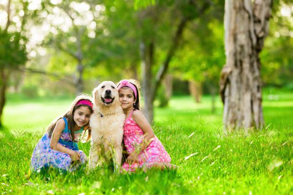 4 razas de perros aptas para niños. Razas de perros ideales para niños. Tips para elegir un perro para tu hijo. Razas de perros ideales para tu hijo
