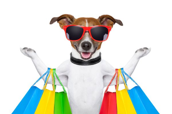 Mascotas graciosas y populares de instagram. Los animales más graciosos de las redes sociales. Fotos de mascotas graciosas en instagram Mascotas graciosas y populares de instagram. Los animales más graciosos de las redes sociales. Fotos de mascotas graciosas en instagram