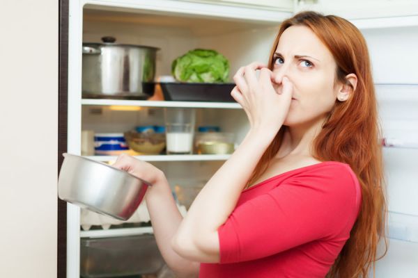 Cómo aprender a usar el refrigerador. Claves para conservar los alimentos en la nevera. Guía para usar correctamente el refrigerador