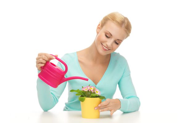 Claves para fertilizar las plantas. Aprende cómo usar los fertilizantes. Cómo abonar las plantas del jardín. Uso del abono casero y mineral