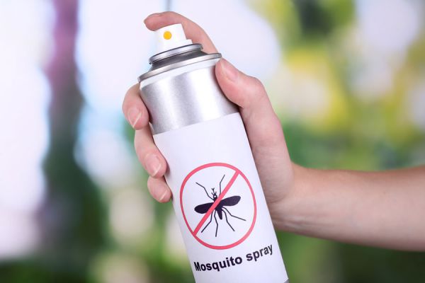 Cómo prevenir el dengue. Cómo prevenir el sika. Consejos para evitar enfermedades transmitidas por mosquitos. Evitar el desarrollo de mosquitos