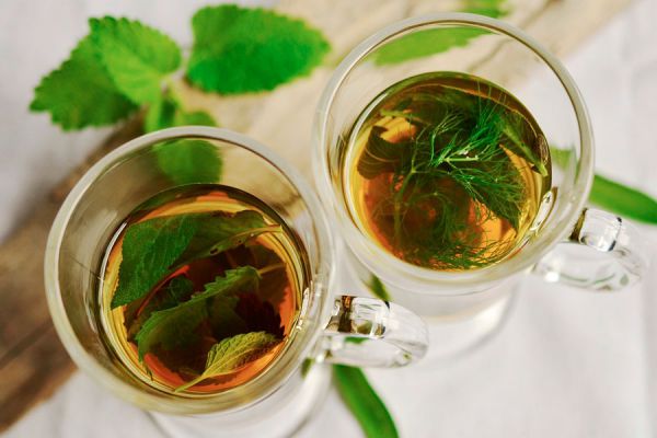 Las mejores plantas para adelgazar. 5 plantas para perder peso. Cómo perder peso con la ayuda de las plantas. Plantas y hierbas para adelgazar Las mejores plantas para adelgazar. 5 plantas para perder peso. Cómo perder peso con la ayuda de las plantas. Plantas y hierbas para adelgazar