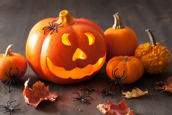 Cómo crear linternas para halloween con naranjas. Linternas de halloween hechas con naranjas. Cómo hacer linterpas de halloween con frutas Cómo crear linternas para halloween con naranjas. Linternas de halloween hechas con naranjas. Cómo hacer linterpas de halloween con frutas