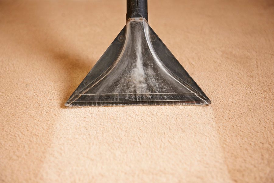 Cómo limpiar las alfombras. Trucos caseros para limpiar alfombras. Limpieza casera de alfombras.