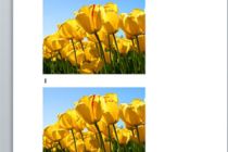 Copiar Imagenes sin Utilizar Copiar y Pegar en Word