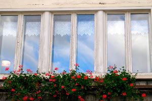 Consejo para limpiar los vidrios de las ventanas