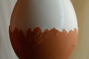 Ilustración de Cómo Cocinar Huevos Duros