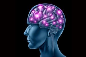 Recetas caseras para mejorar la memoria. Remedios naturales para activar la mente. Alimentos y productos naturales para mejorar la memoria Recetas caseras para mejorar la memoria. Remedios naturales para activar la mente. Alimentos y productos naturales para mejorar la memoria