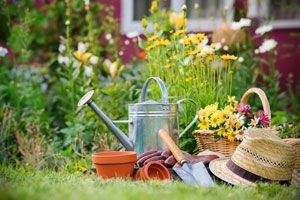 Consejos simples para mantener un jardín