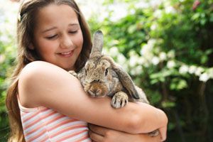 Cómo cuidar a un conejo de mascota. Consejos para cuidar a un conejo como mascota. Qué darle de comer a un conejo. Tips para cuidar a un conejo
