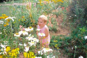 Cómo integrar a los niños en el cuidado del jardín 