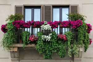 Cómo hacer un jardín en la terraza o balcón