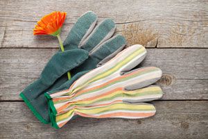 Cómo elegir los guantes para jardinería