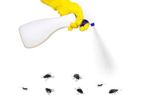 Ilustración de Cómo eliminar insectos con vinagre