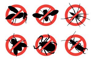Trucos y remedios caseros para ahuyentar insectos en verano. Tips para ahuyentar insectos del hogar. Como combatir y eliminar insectos en el hogar