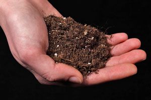 Cómo analizar y reconocer el tipo de suelo que tenemos en el jardín. Cómo identificar el tipo de suelo del jardín. Propiedades y análisis del suelo