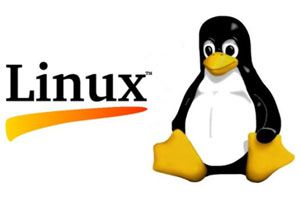 Conviene instalar linux en tu ordenador? Analisis de las ventajas y desventajas de linux. Pros y contras del sistema operativo linux