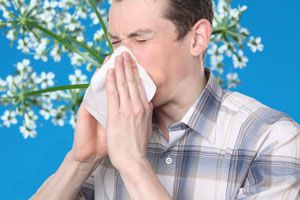 Alimentos para evitar las alergias de primavera
