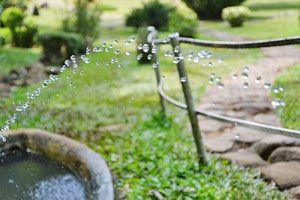 Cómo mantener el jardín con agua en vacaciones