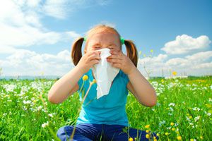 Tipos de alergias. Qué son las alergias y cómo reconocerlas. Cómo funcionan las alergías y cómo se producen.