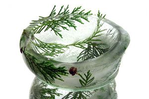 Guía para hacer platos de hielo. Cómo crear recipientes de hielo para servir las comidas. Originales platos de hielo para servir comidas