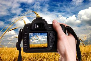 Reglas de fotografía para capturar mejores imágenes. cómo tomar mejores fotos. Guía para sacar mejores fotografias.