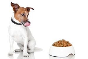 Comidas para perros. 3 recetas de comidas para perros. Como hacer galletas para perros. Golosinas caseras para perros