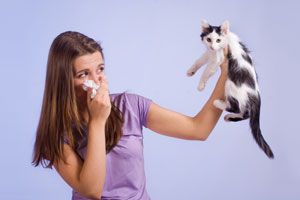 Síntomas comunes de las alergias. Sintomas de alergias. Señales de que tienes alergia. Alergias alimentarias