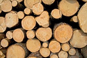 Características y ventajas de usar leña para calefaccionar Características y ventajas de usar leña para calefaccionar