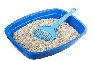 15 ideas para aprovechar la arena para gatos. Usos de las piedras sanitarias para gatos. Ideas para usar la arena para gatos